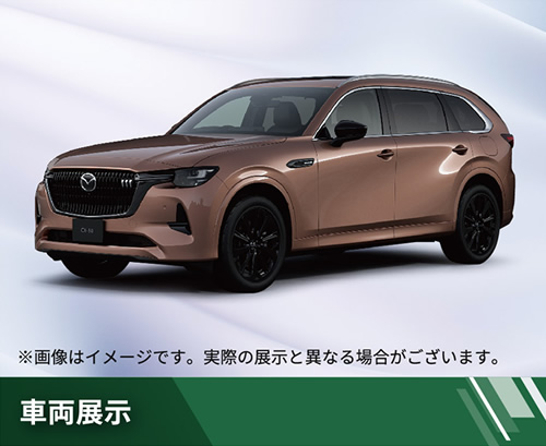 車両展示