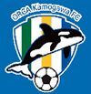 オルカ鴨川FC（日本女子サッカーリーグ）