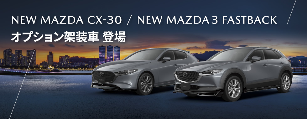 CX-30 MAZDA3 エアロ架装車